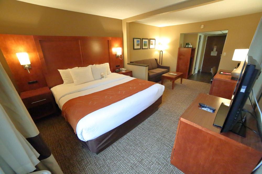 Comfort Suites Bethlehem Near Lehigh University And Lvi Airport מראה חיצוני תמונה
